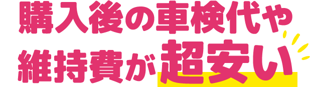 購入後の車検代や維持費が超安い